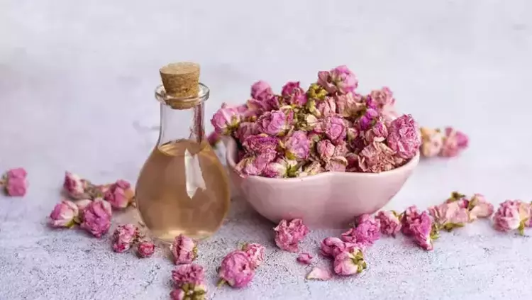 تصویر 1 از فروش گلاب غنچه گل محمدی + قیمت خرید به صرفه