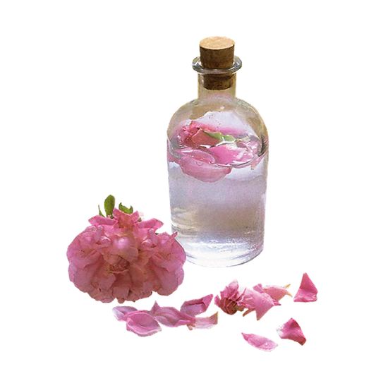 تصویر 3 از فروش گلاب غنچه گل محمدی + قیمت خرید به صرفه