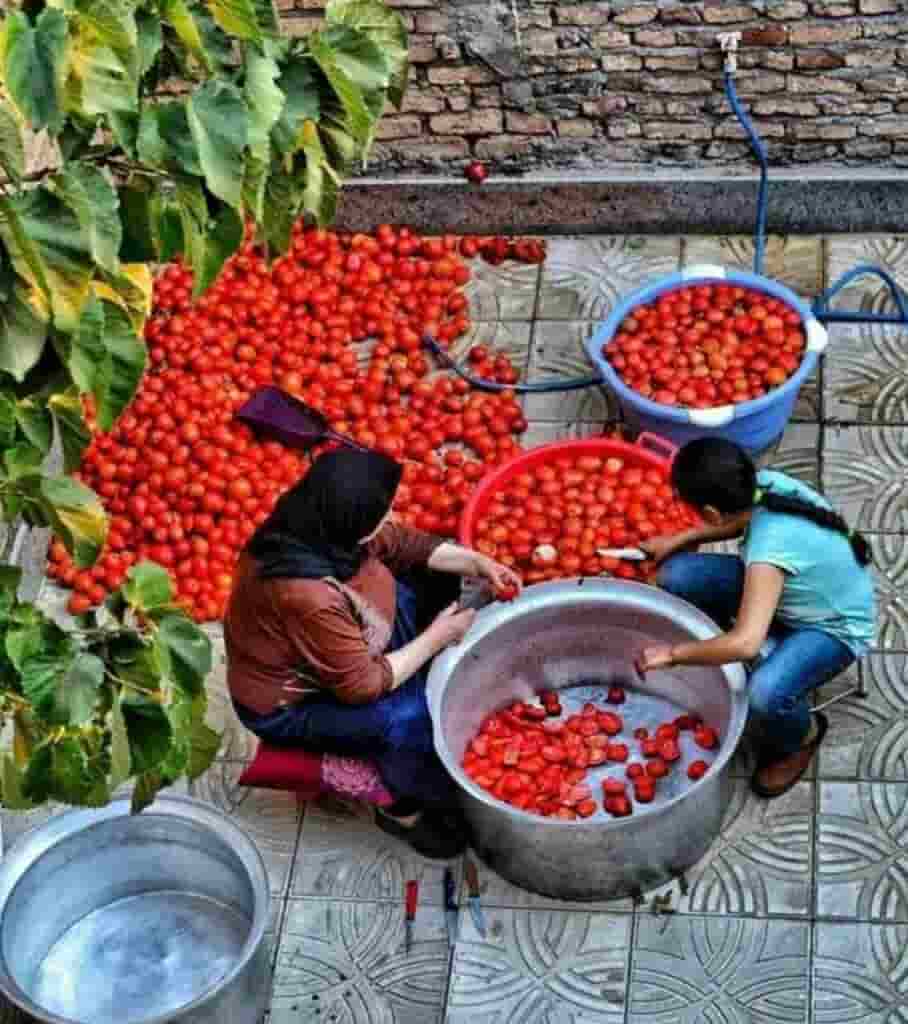 تصویر 1 از قیمت خرید رب گوجه فرنگی خانگی + فروش ویژه