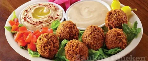 تصویر 1 از خرید فلافل اماده + قیمت فروش استثنایی