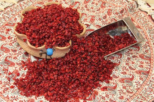 تصویر 1 از قیمت خرید زرشک قاینات با فروش عمده