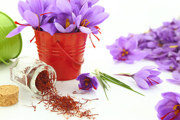 تصویر 4 از قیمت زعفران رویال سرخ با کیفیت ارزان + خرید عمده