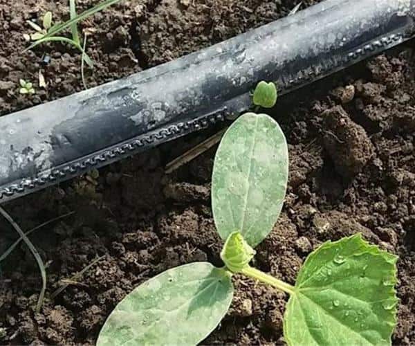 تصویر 1 از قیمت خرید نوار تیپ اصفهان + فروش ویژه
