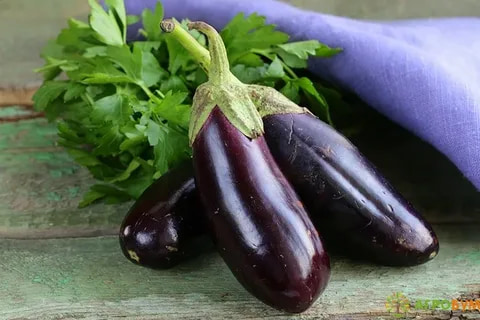 تصویر 2 از خرید و قیمت بادمجان قلمی سیاه + فروش صادراتی