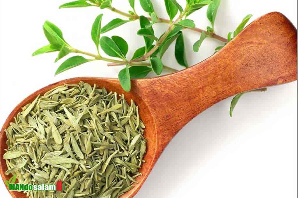 تصویر 3 از قیمت خرید آویشن کوهی خشک عمده به صرفه و ارزان