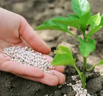 تصویر 4 از قیمت خرید هیدروژل‌ های گرانولی کشاورزی + فروش ویژه
