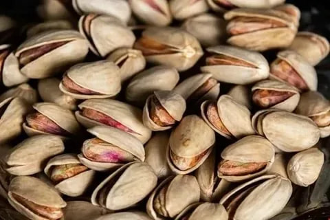 تصویر 1 از قیمت خرید پسته اکبری خام دستچین + فروش ویژه