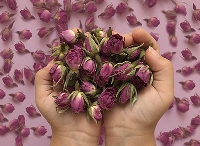 تصویر 4 از قیمت خرید غنچه گل محمدی خشک عمده به صرفه و ارزان
