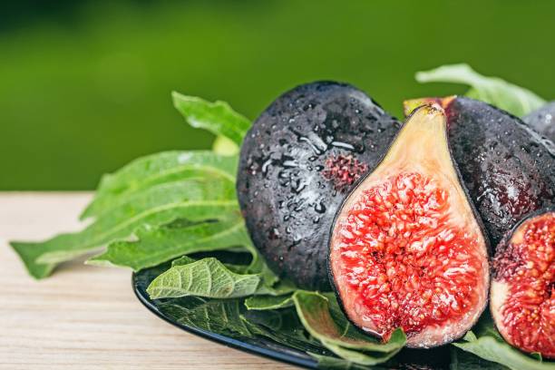 قیمت خرید انجیر فارس + فروش ویژه