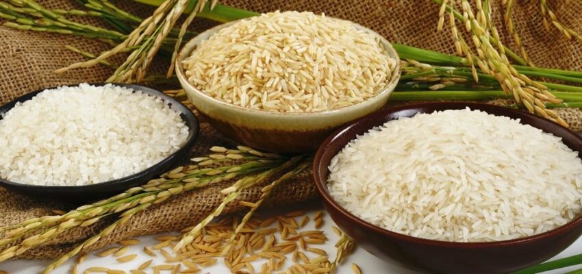 قیمت خرید برنج سبوس دار عنبر بو با فروش عمده