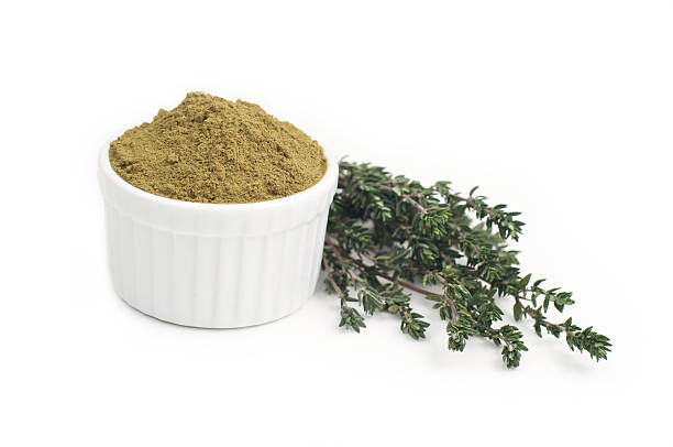 فروش آویشن