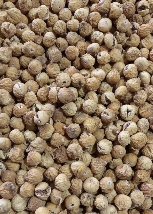 تصویر 4 از قیمت انجیر خشک صادراتی + خرید باور نکردنی