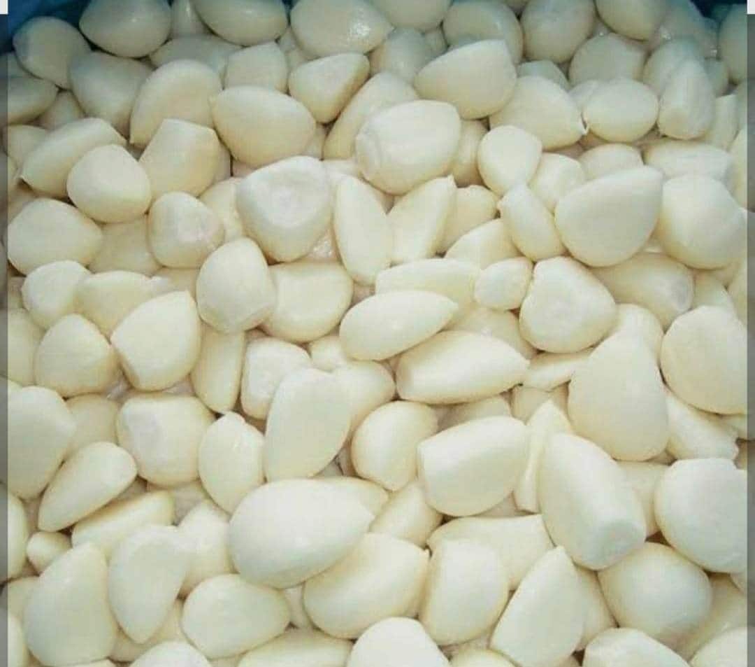 خرید سیر سفید امساله + قیمت فروش استثنایی