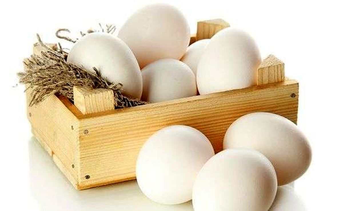 تصویر 2 از قیمت تخم مرغ امروز با کیفیت ارزان + خرید عمده