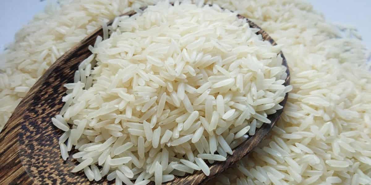تصویر 1 از قیمت خرید برنج فجر سوزنی  با فروش عمده