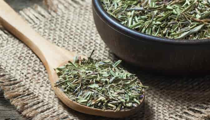 خرید آویشن شیرازی + قیمت فروش استثنایی
