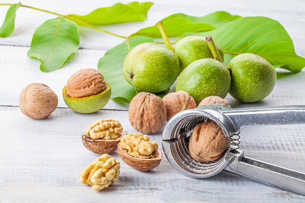 تصویر 3 از فروش گردو پوست کاغذی + قیمت خرید به صرفه