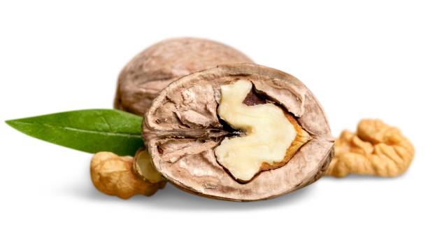 تصویر 4 از قیمت خرید گردو چینی مرغوب با فروش عمده