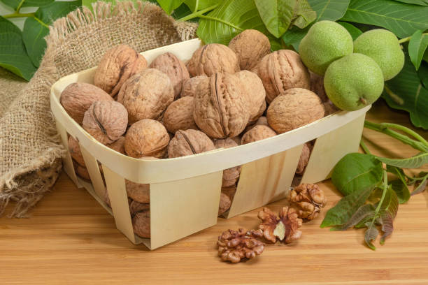 فروش گردو خارجی