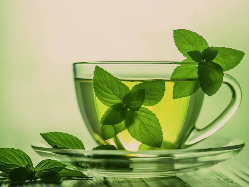 خرید و فروش عمده دمنوش نعناع اصل با بهترین قیمت