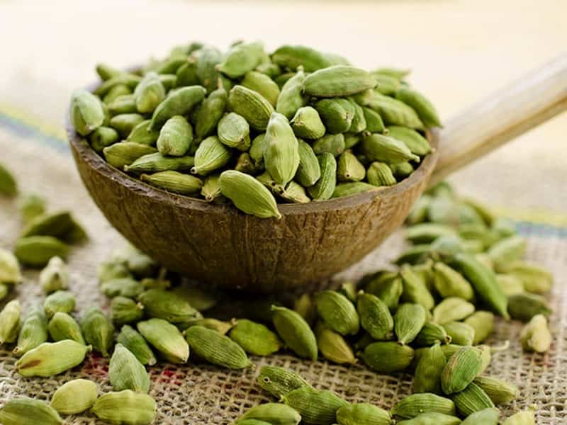 تصویر 2 از خرید هل سبز اعلا + قیمت فروش استثنایی