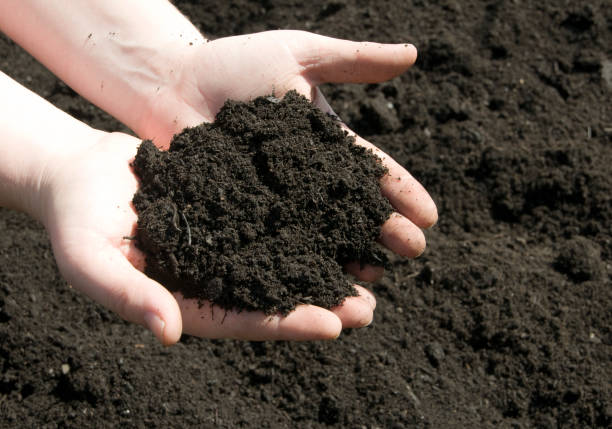 تصویر 3 از خرید و قیمت کود ارگانیک ورمی کمپوست غنی شده + فروش عمده