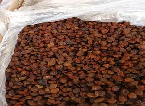 تصویر 3 از کشمش آفتابی ملایر با کیفیت ارگانیک