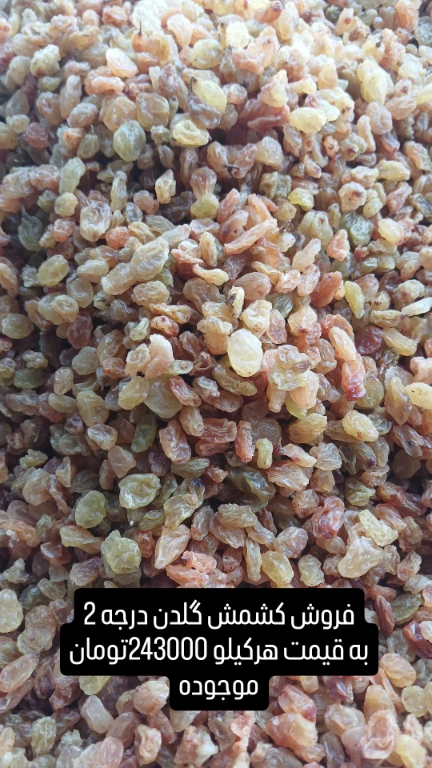 تصویر 1 از کشمش گلدن + قيمت مناسب