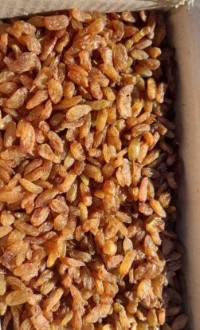 تصویر 1 از کشمش خوراکی آفتابی + فروش نقدی