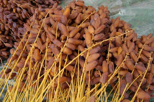 تصویر 4 از خرما عسلی ریز با شیرینی طبیعی و بافتی نرم