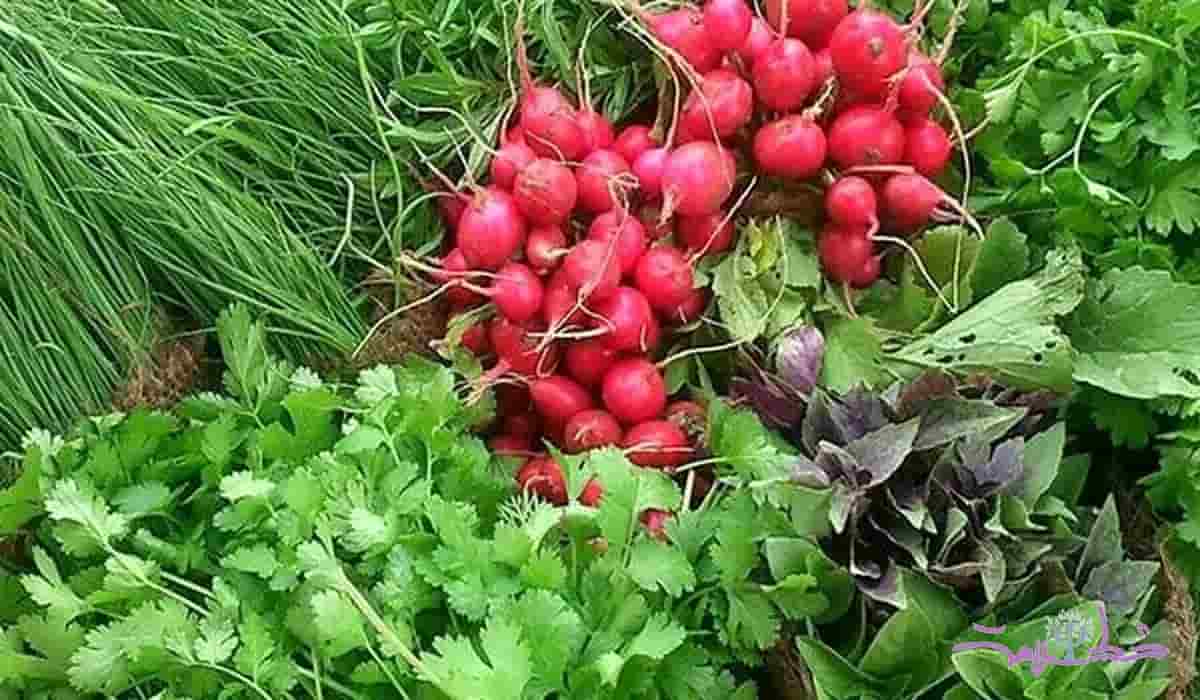 سبزی تازه