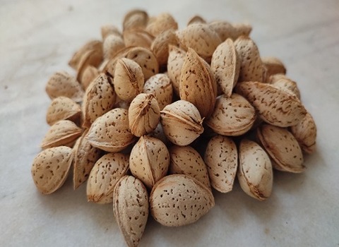 تصویر 1 از بادام درختی ریز با پوست طعم شیرین و تازه