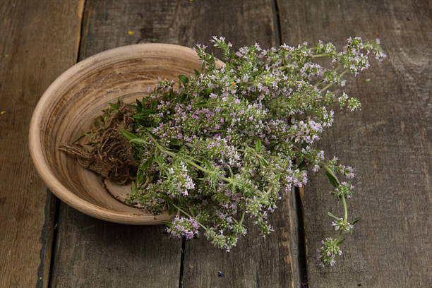 تصویر 5 از آویشن باغی خالص با عطری تند و طعمی گرم و دل‌ انگیز