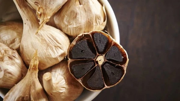 سیر سیاه شمال محصول مزارع با آب و هوای معتدل