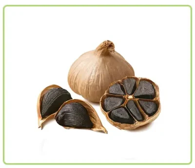 تصویر 1 از سیر سیاه ارگانیک تخمیر شده دارای بافت نرم و استفاده آسان در غذا