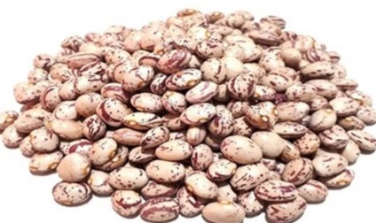 خرید کنسرو لوبیا