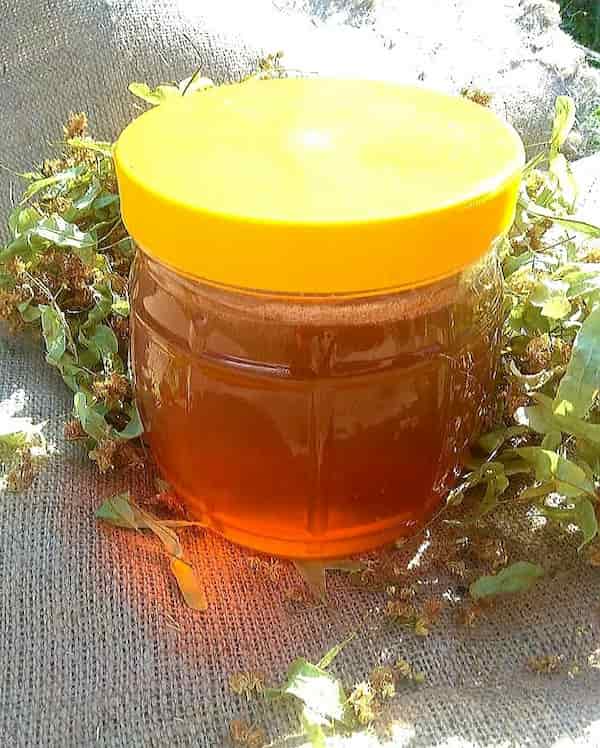 تصویر 3 از عسل جنگلی وحشی خالص با بسته‌بندی بهداشتی