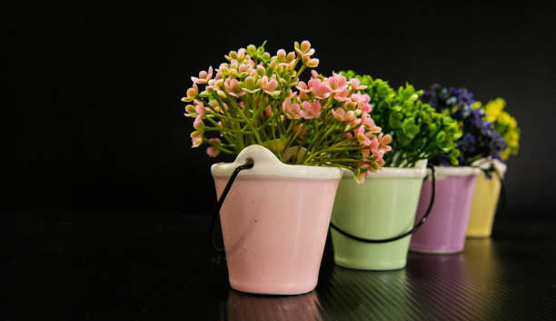 تصویر 3 از گلدان پلاستیکی کوچک برای کاشت گل‌ های رو میزی و گیاهان فانتزی