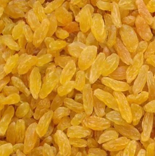 تصویر 1 از کشمش طلایی درشت عالی و لذیذ