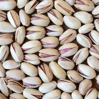 تصویر 2 از پسته اکبری سفید دانه های یکدست و کیفیت عالی