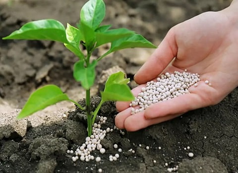 کود اوره ریز با دانه‌ بندی‌ های متفاوت
