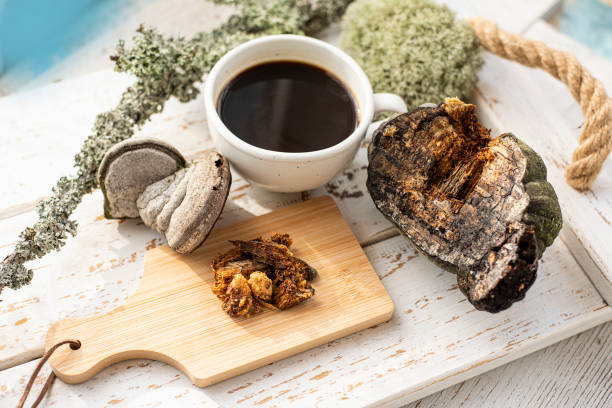 فروش قهوه گانودرما