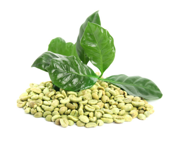 دانه قهوه سبز اصل مناسب اسپرسو