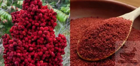 سماق شاخه ‌ای تازه از باغ