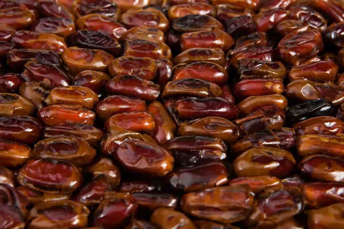 تصویر 3 از خرما مضافتی عمده با بیشترین تنوع