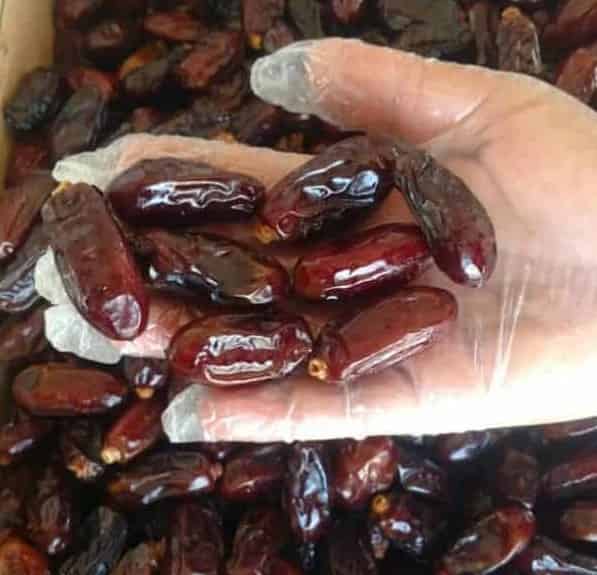 تصویر 1 از خرما شاهانی تازه و خوش‌ طعم