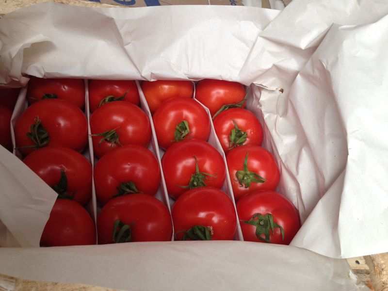 گوجه فرنگی ارگانیک قرمز رنگ خوش طعم گلخانه ای تازه شمالی