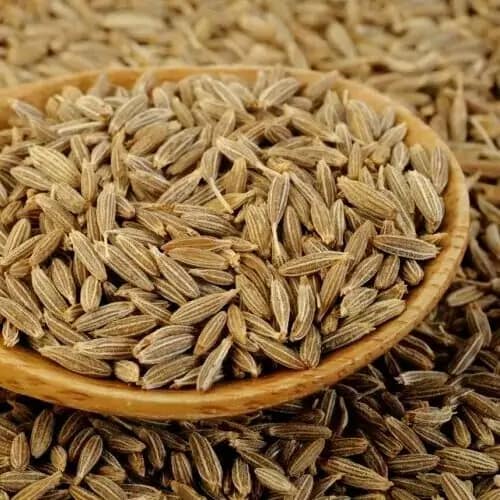 زیره سبز هندی با کیفیت تضمین‌ شده و ظاهر یکدست