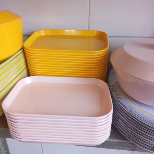 تصویر 3 از خرید دیس رستورانی چهار گوش ملامین + قیمت فروش استثنایی