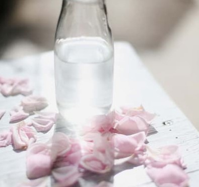 گلاب ممتاز با رایحه دلنشین
